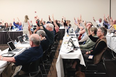 Committee 13 votes during business session at the 223rd General Assembly (2018).