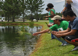 Participants spread pine needles on the water.