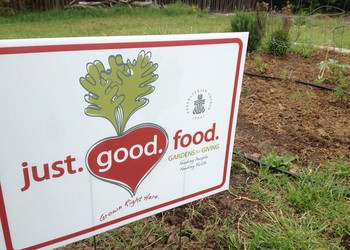 just.good.food is trying to create and strengthen partnerships between community gardens and organizations that provide food for those who are hungry.