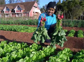 Ms. Sariaka works in the garden of the Church of Jesus Christ in Madagascar (FJKM) Ivato Seminary in Antananarivo, Madagascar, which is supported by PC(USA).