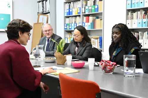 PC(USA) delegation hears from Tal Steiner of HoMoked