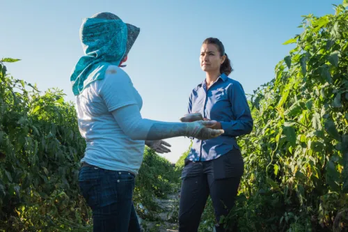 A woman talks with another woman in a field