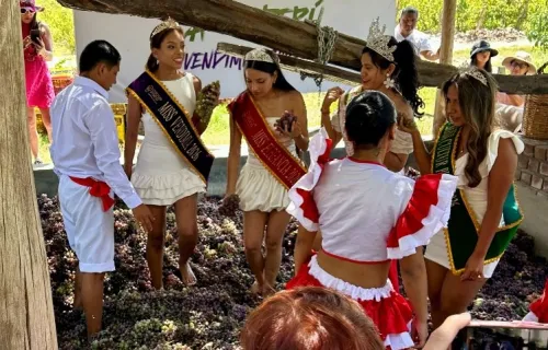 women crushing grapes in large pit