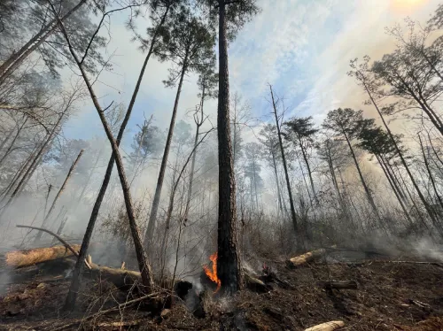 some flames and smoke after a prescribed burn