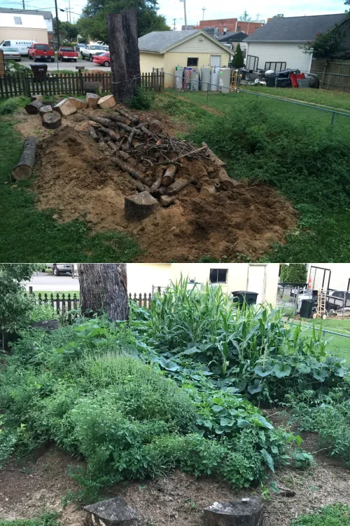 The top photo shows the hügelkultur under construction; the bottom photo shows the abundant growth just two summers later