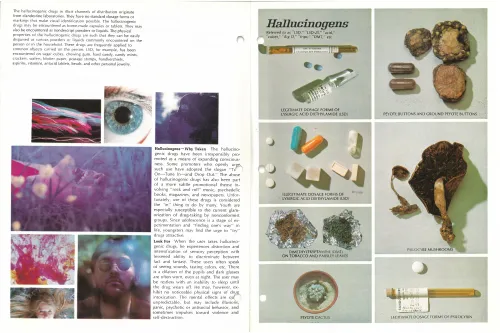 Hallucinogens, from United States Food and Drug Administration, Drugs of Abuse, 1967. Inside Presbyterian Church in the U.S. Corporate and Social Ministries.
