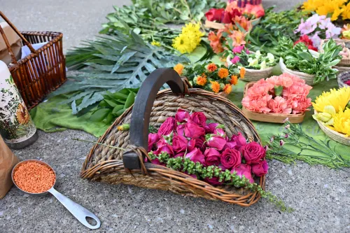 Flowers for Jenny Bell's mandala