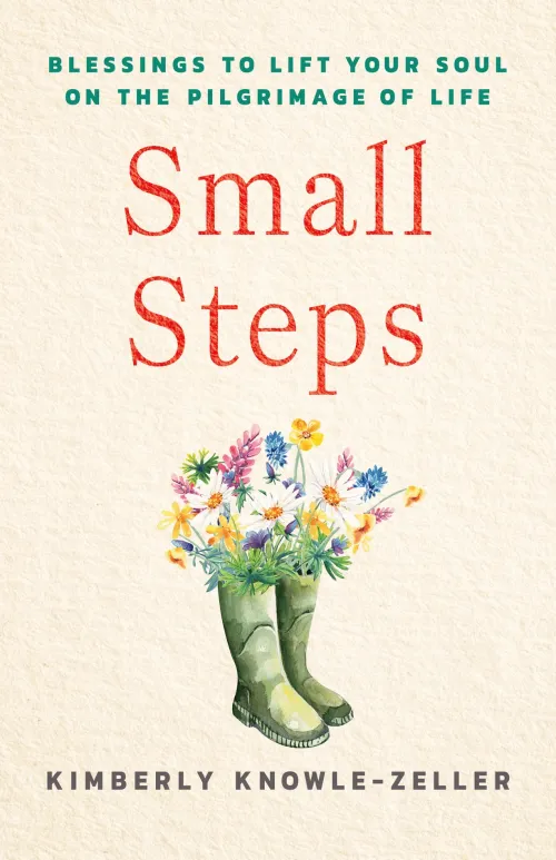 Small Steps book cover