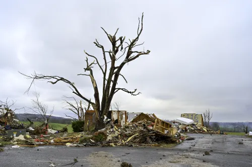Tree with broken limbs in area with storm destruction and debris