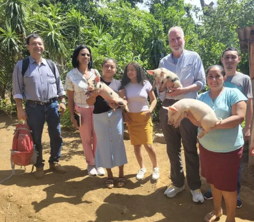 A group of people holding pigs