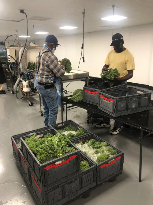 Gullah Geechee produce