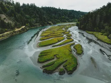 Bear's eye view of the Klamath River and forest covered shores on either side