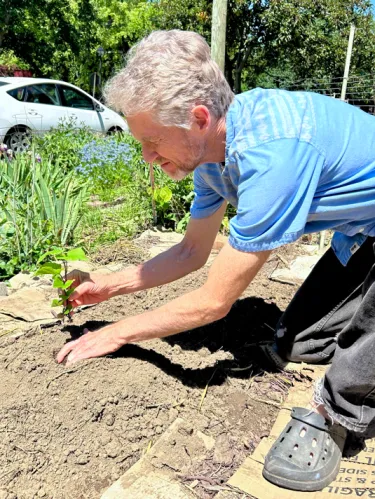 andrew planting sweet potato slip in front year with flowers, trees and car in background