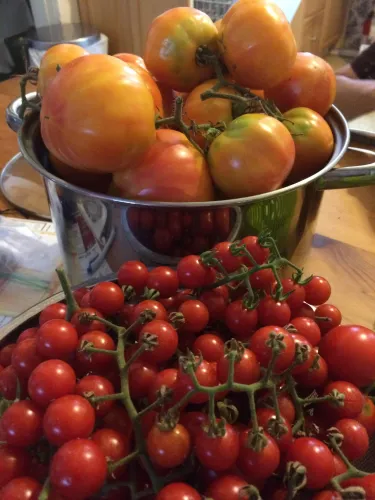 cherry and big tomatoes on a table in author's kitchen