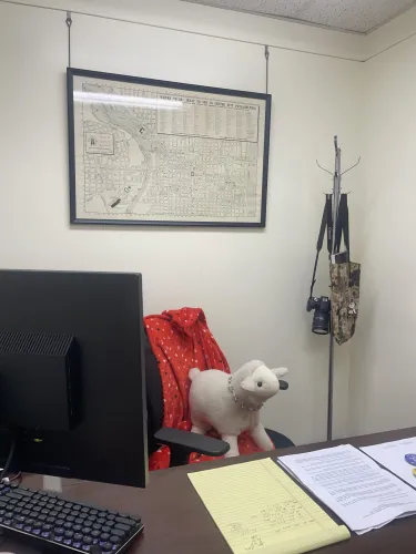 A stuffed lamb sits on a rolling desk chair in the PHS Comms office.