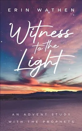 Witness to the Light book cover