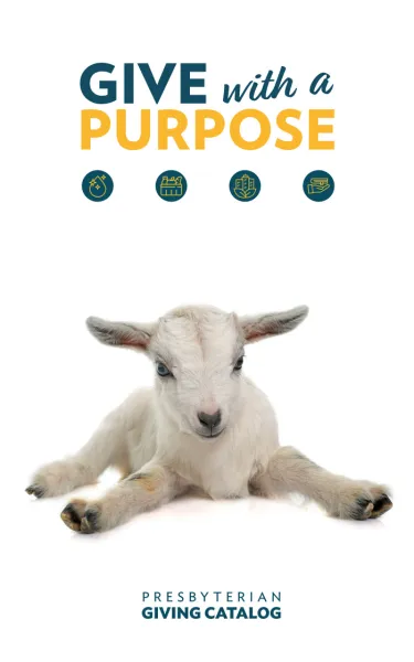 cover of 2026 presbyterian giving catalog