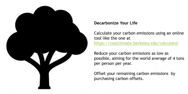 Decarbonize your life graphic