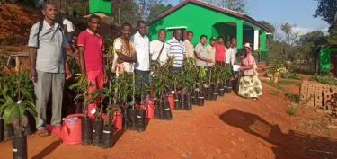 men standing with grafted mango trees