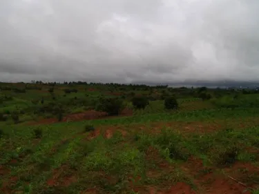 Viyele CCAP Church Women’s Guild garden, Mzuzu, Northern Malawi