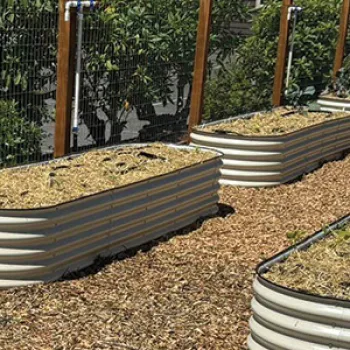 Raised garden beds