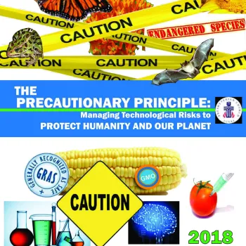 Cover of Precautionary Principle Report