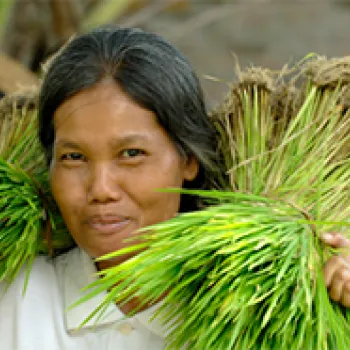 A woman carrying crops.