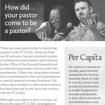 Cover of Per Capita Bulletin Insert