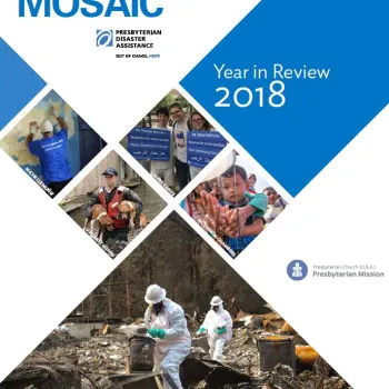 Mission Mosaic: Year in Review 2018