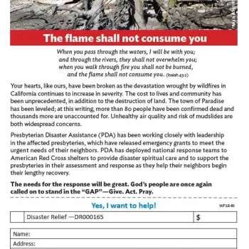 California Wildfires Bulletin Insert