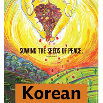 2024 PGW M4M Sowing Seeds of Peace Korean