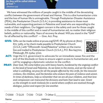 Israel/Palestine bulletin insert