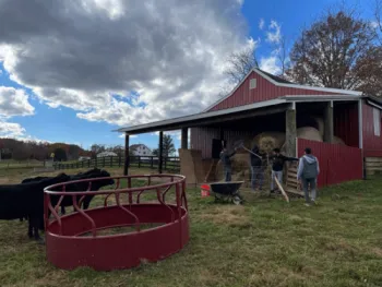 Assistance from the Presbyterian Committee on the Self-Development of People has proven vital to help the Afghan Cattle Cooperative meet its production goals. (Contributed photo)