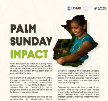 Palm Sunday Impact-smiling woman picking palm branches