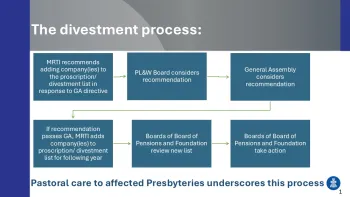 Divestment process graphic from MRTI
