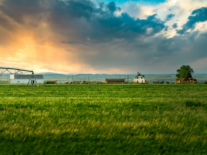 Brandon Green Unsplash
