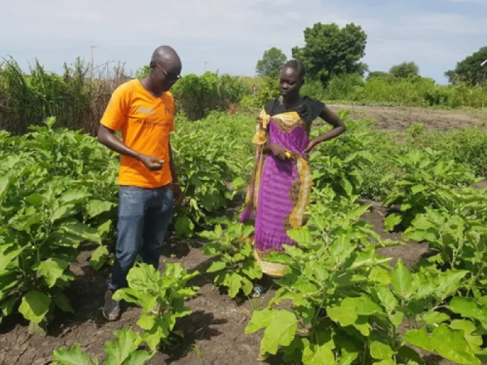 A man and a woman standing in a field of plants