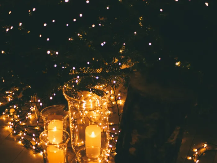 Anthony Delanoix via Unsplash