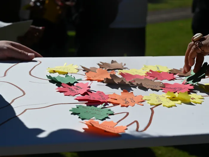 Members of Hillside Presbyterian Church add leaves of justice during a ritual of communal witness led by Young Adult Advocacy participants. (Photo by Jeff McAllister)  
