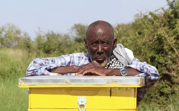 man leaning on bee hive box