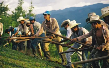 men working together in field