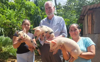 group holding piglets