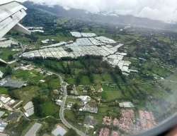 Many greenhouses seen from airplane