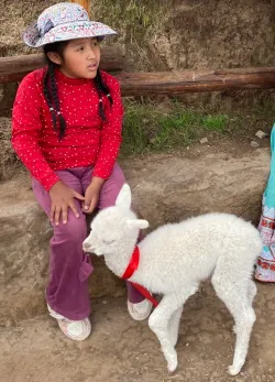Peruvian girl with baby alpaca